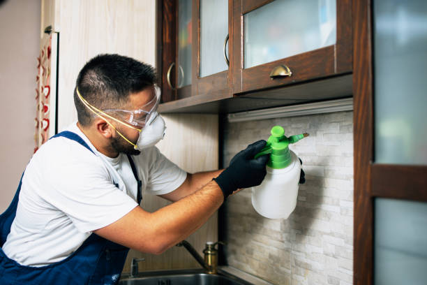 Best Cockroach Control Services  in Bargersville, IN