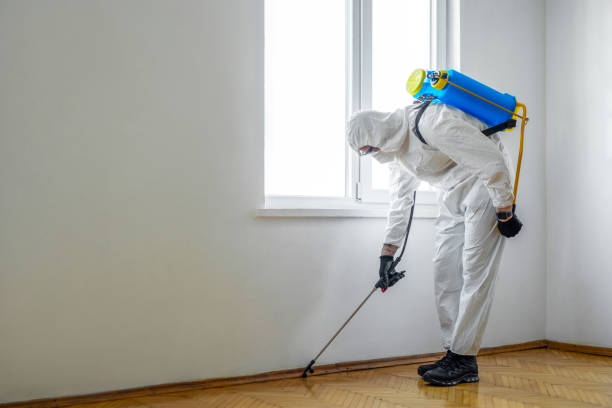 Best Pest Control Near Me in Bargersville, IN