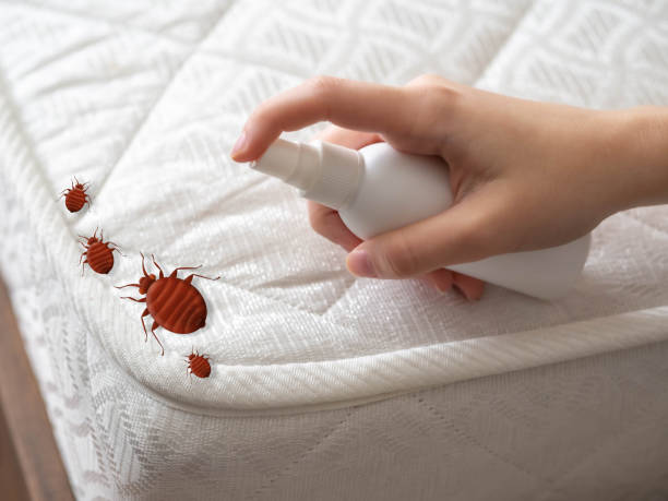 Best Emergency Pest Control  in Bargersville, IN