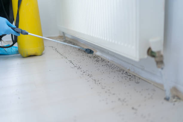 Best Best Pest Control Companies  in Bargersville, IN