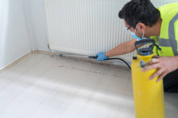 Best Pest Control for Homes  in Bargersville, IN