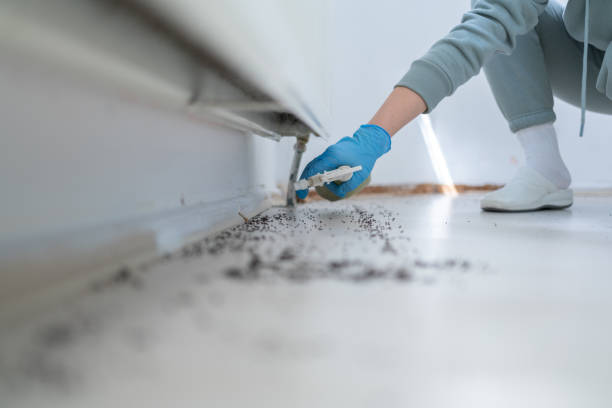 Insect Control in Bargersville, IN